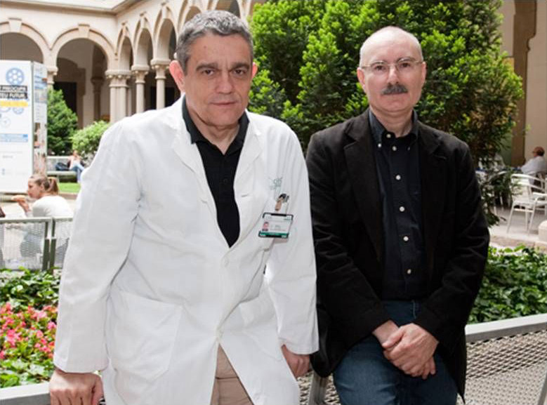 La hipoxia intermitente característica de la apnea de sueño reduce la fertilidad en ratones