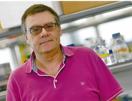 Francesc Palau: "Mayor investigación supondría un ahorro sanitario importantísimo porque muchas enfermedades se diagnosticarían a tiempo o podrían evitarse"