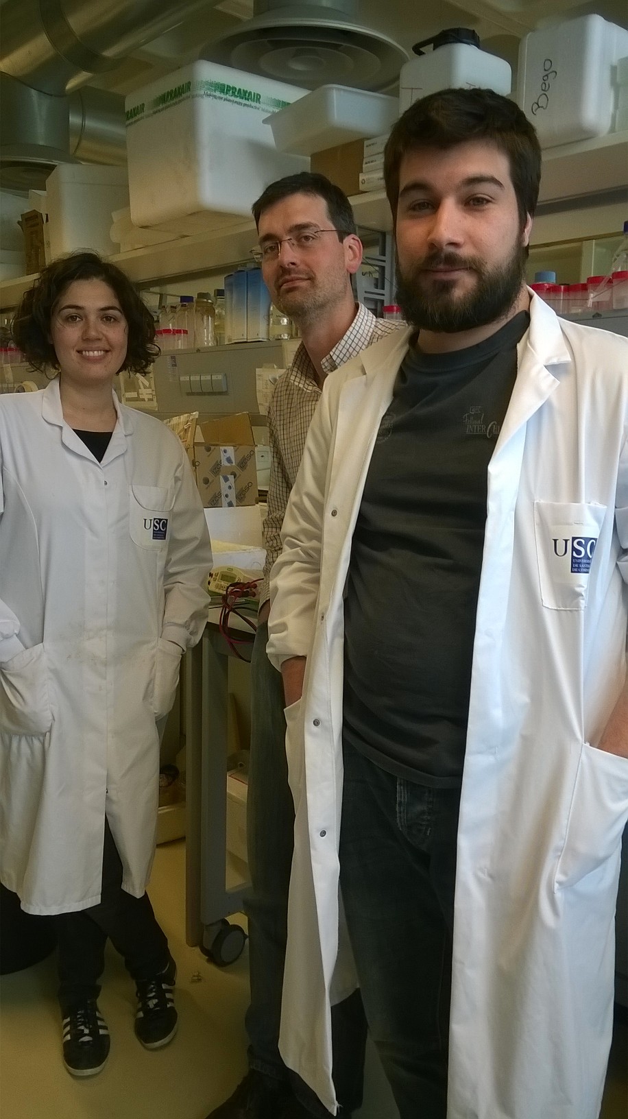 Descubren el mecanismo por el que un fármaco anti-diabético disminuye también el peso corporal