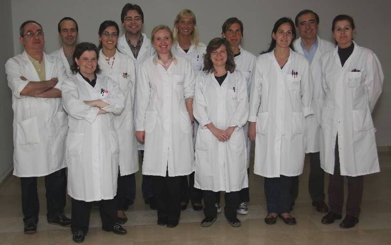 El CIBEROBN descubre una nueva vía de prevención del ictus combinando genética, epigenética y dieta mediterránea