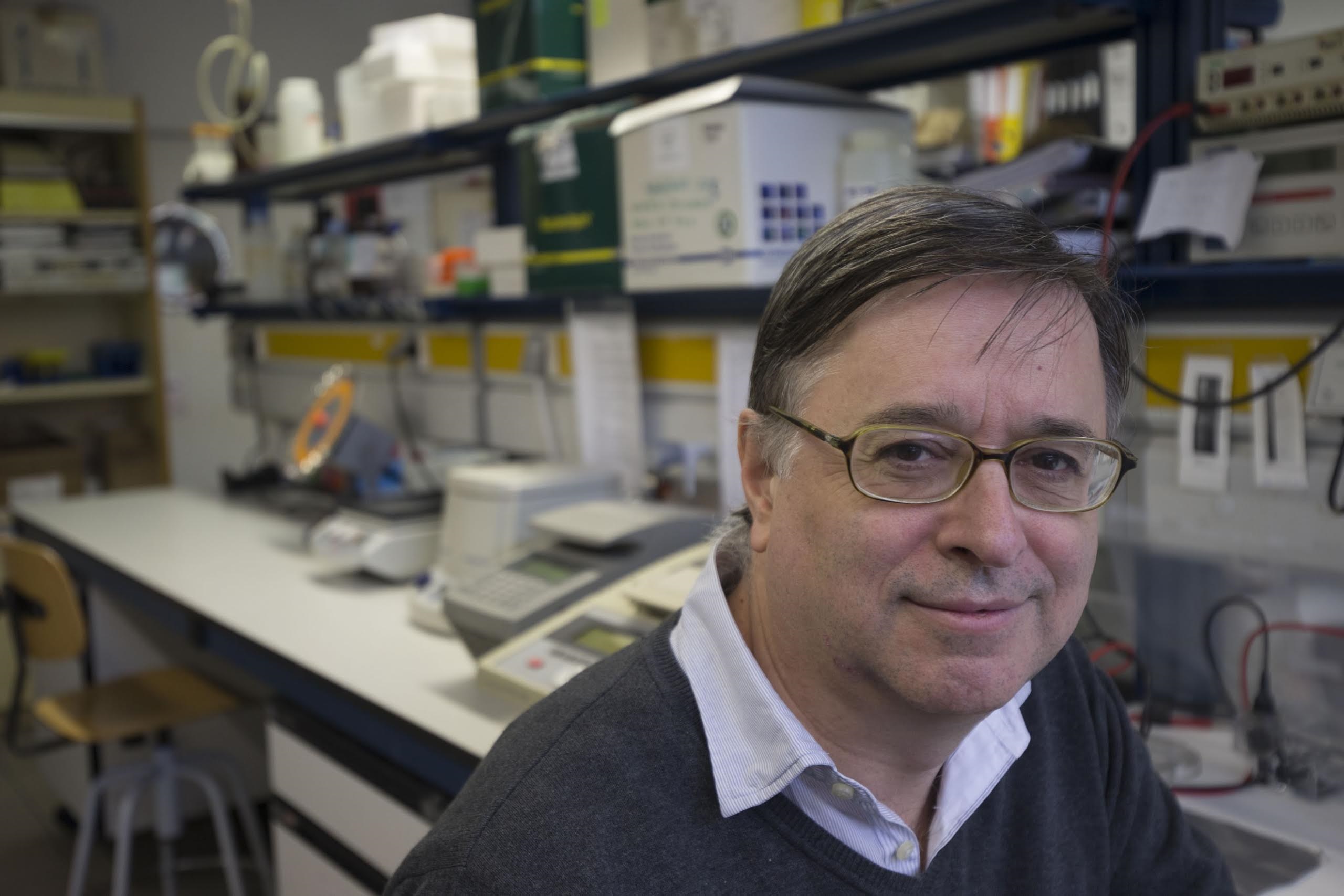 Moléculas endocrinas liberadas por la grasa parda podrían ser claves en el descubrimiento de nuevas terapias contra la obesidad y las enfermedades metabólicas