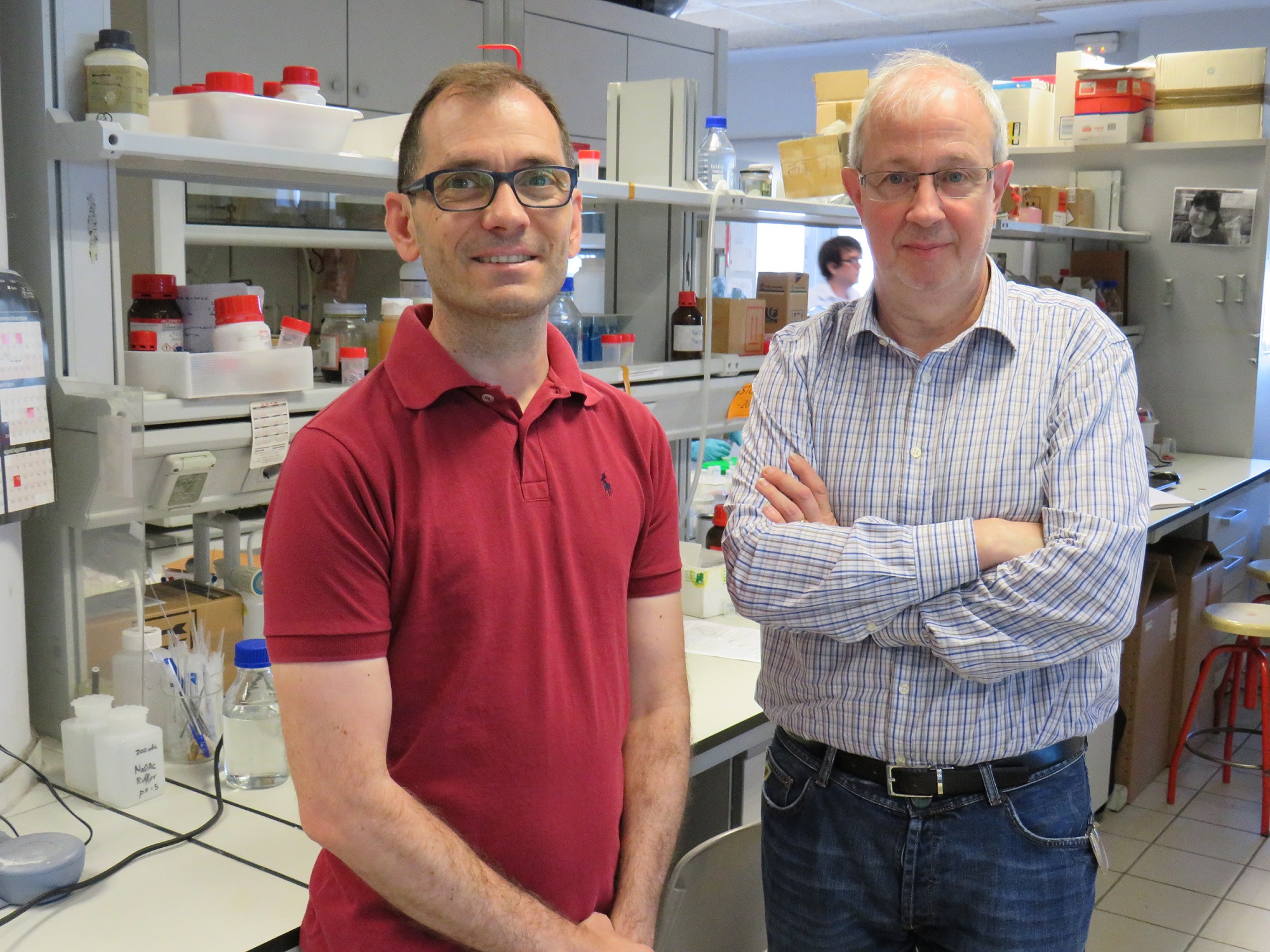 Lenguas electrónicas para detectar cáncer de próstata y de vejiga