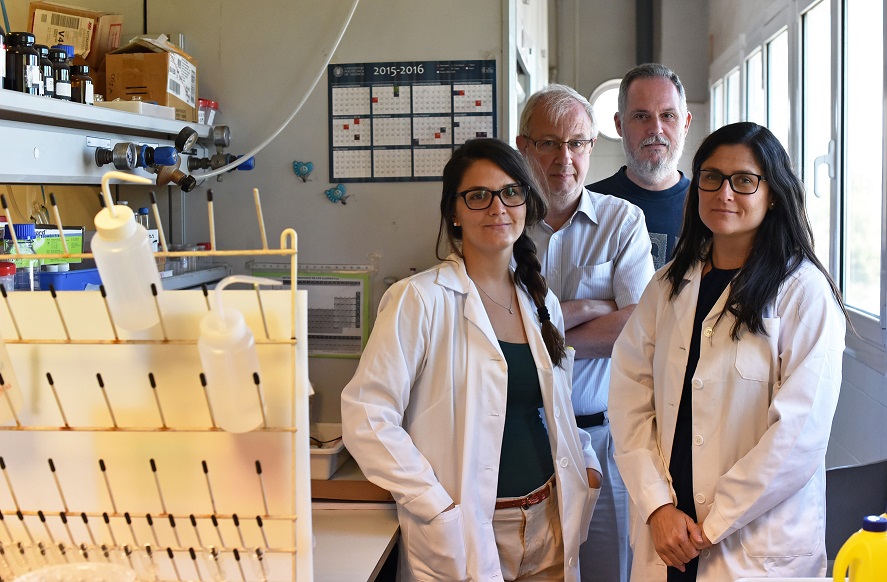 Desarrollan un innovador sistema que permite detectar células senescentes in vivo