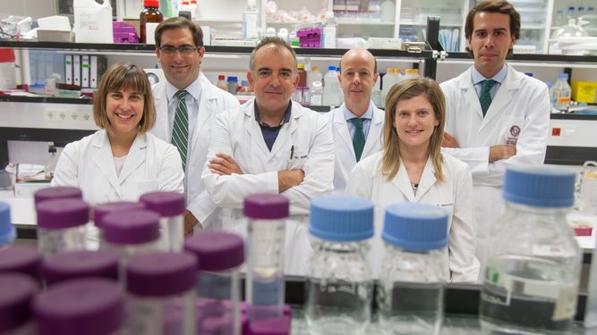 Desarrollan algoritmos matemáticos para atacar el metabolismo del cáncer